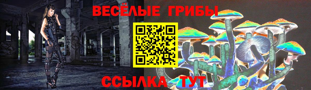 Псилоцибиновые грибы прущие грибы Холмск