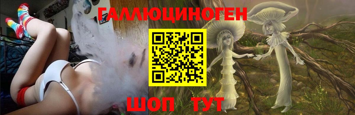 Холмск  Галлюциногенные грибы Magic Shrooms  хочу   Вход с VPN 